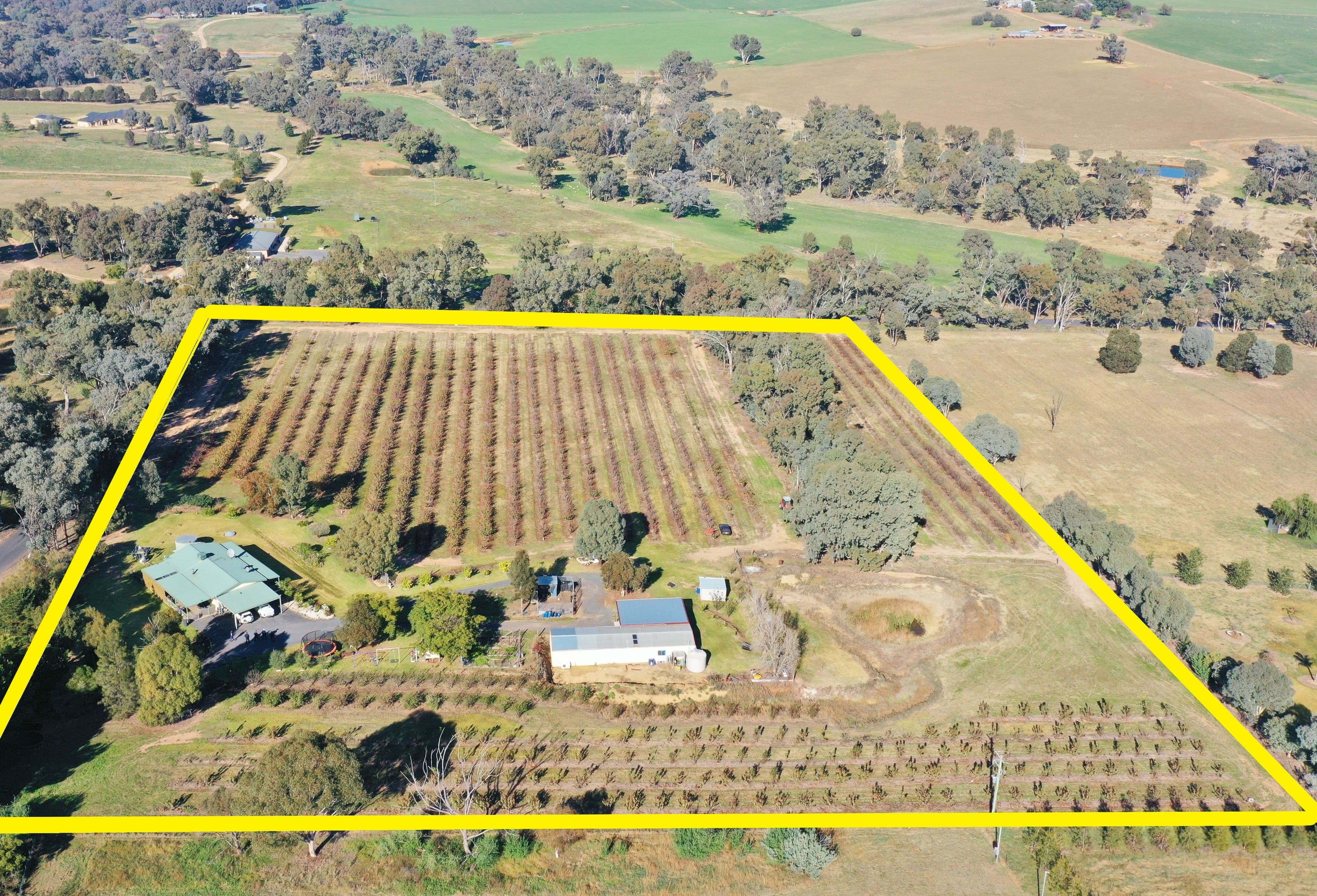 219 Pattersons Lane, Young NSW 2594, Young - Image 1