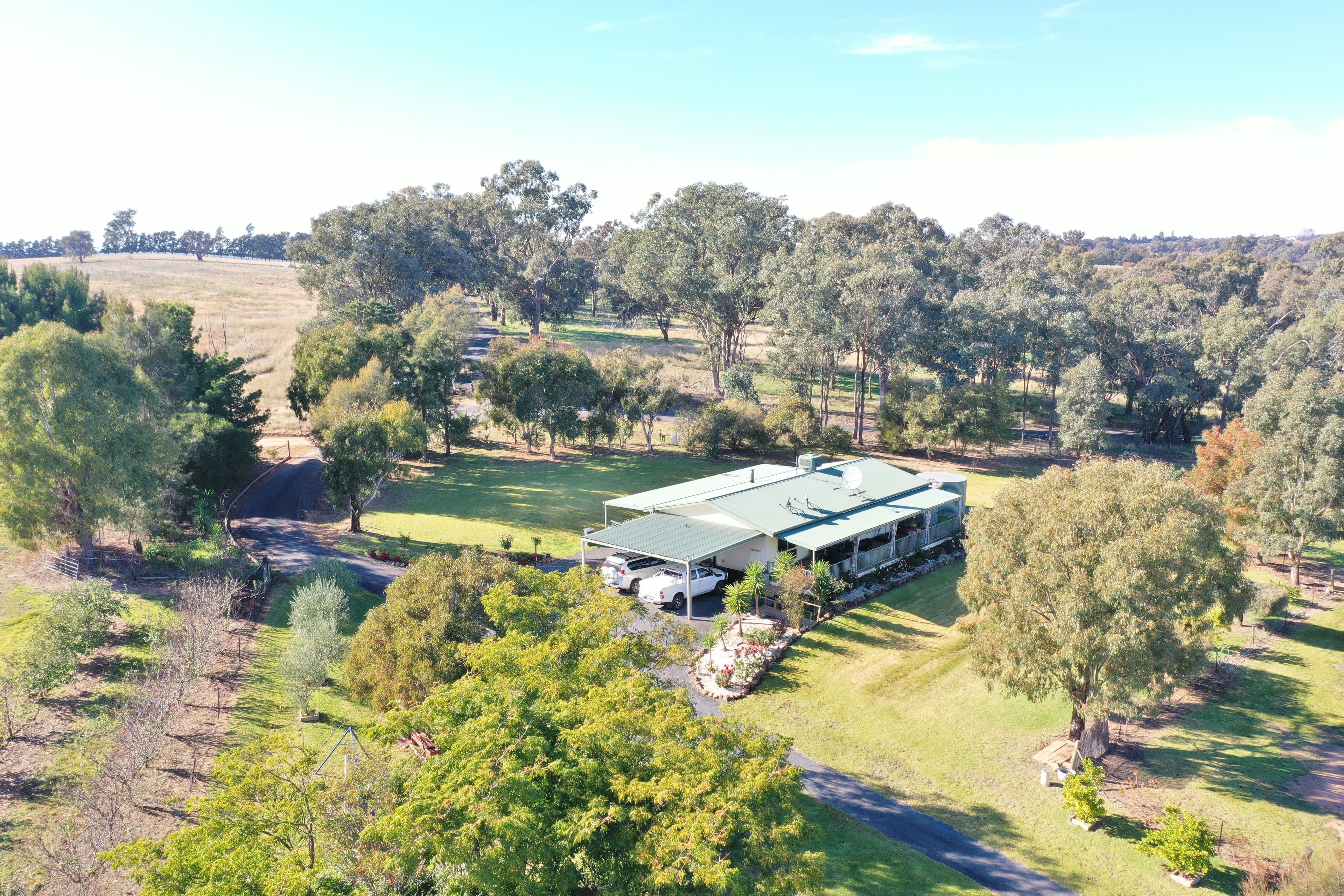 219 Pattersons Lane, Young NSW 2594, Young - Thumbnail 3