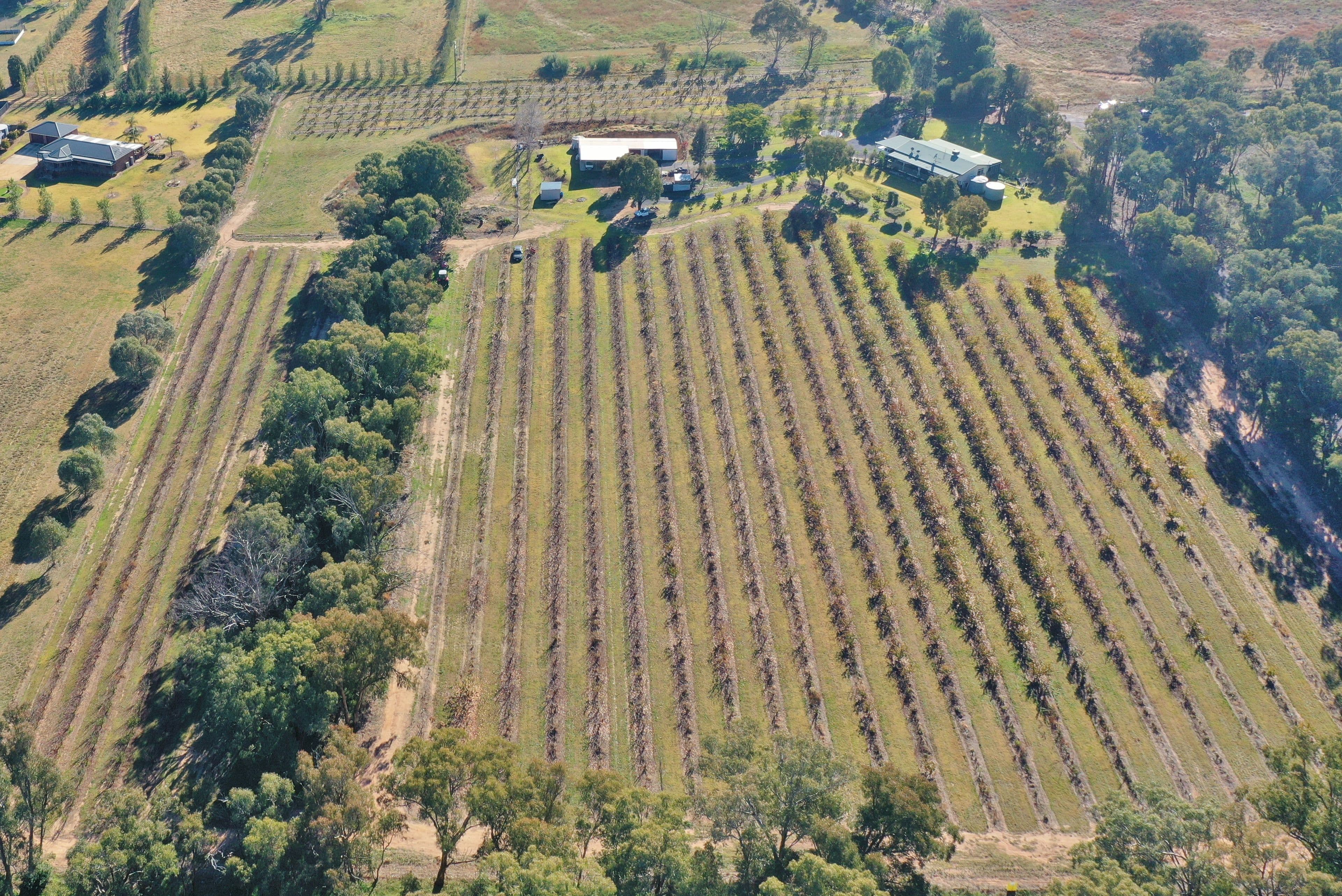 219 Pattersons Lane, Young NSW 2594, Young - Thumbnail 5
