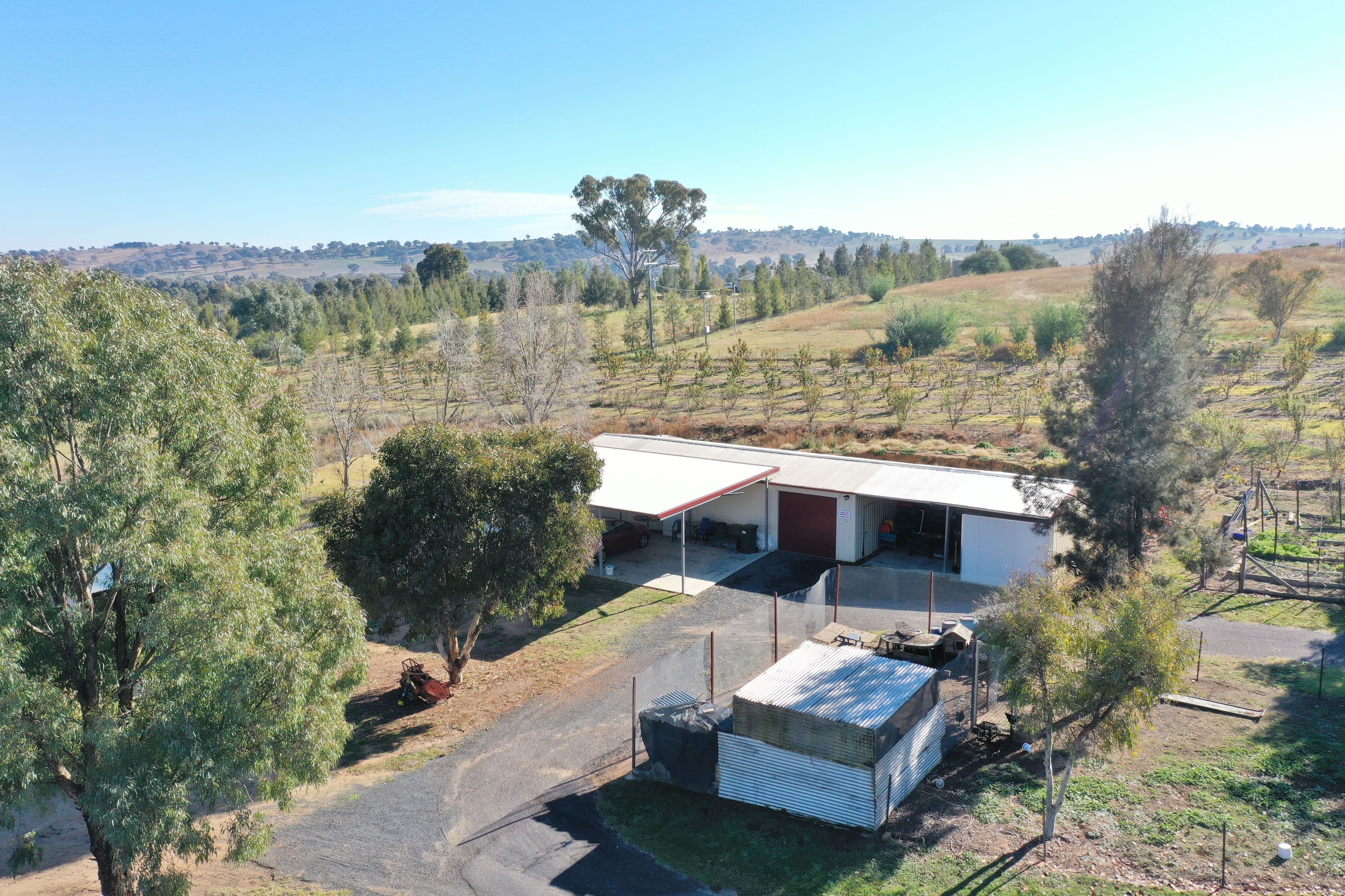 219 Pattersons Lane, Young NSW 2594, Young - Thumbnail 6
