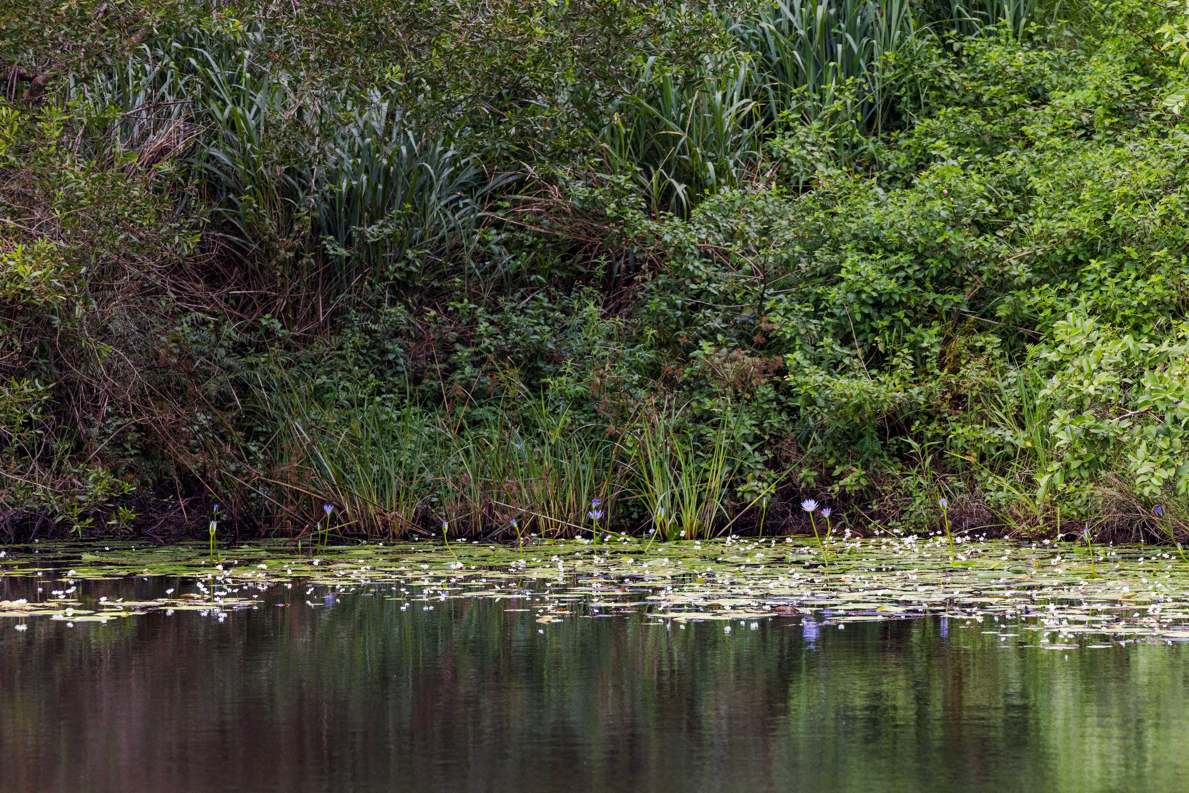 Beenaam Valley QLD 4570, Beenaam Valley - Thumbnail 6