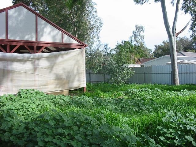 207 Whites Road, PARALOWIE SA 5108, Paralowie - Thumbnail 5