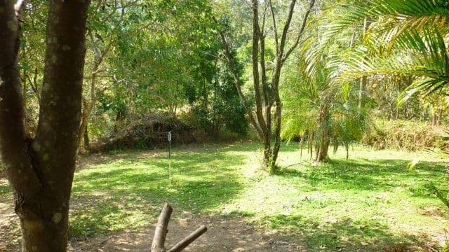 314 Diddillibah Road, DIDDILLIBAH QLD 4559, Diddillibah - Thumbnail 2