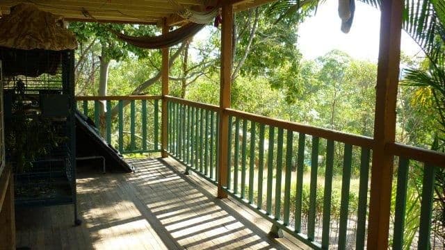 314 Diddillibah Road, DIDDILLIBAH QLD 4559, Diddillibah - Thumbnail 3