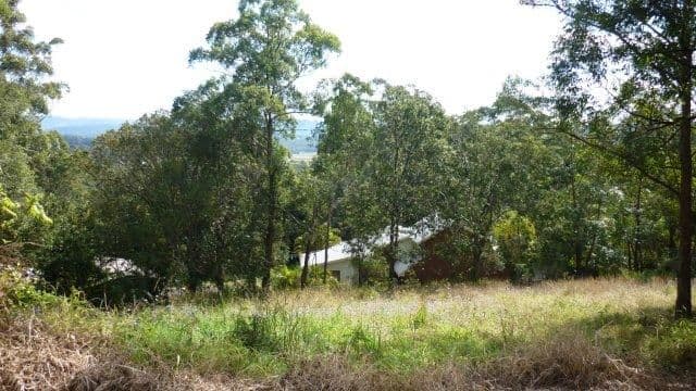 314 Diddillibah Road, DIDDILLIBAH QLD 4559, Diddillibah - Thumbnail 8