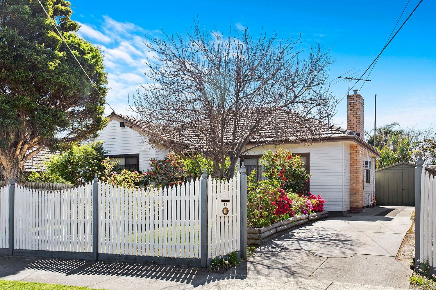 49 Latrobe Street, Cheltenham VIC 3192, Cheltenham - Image 1