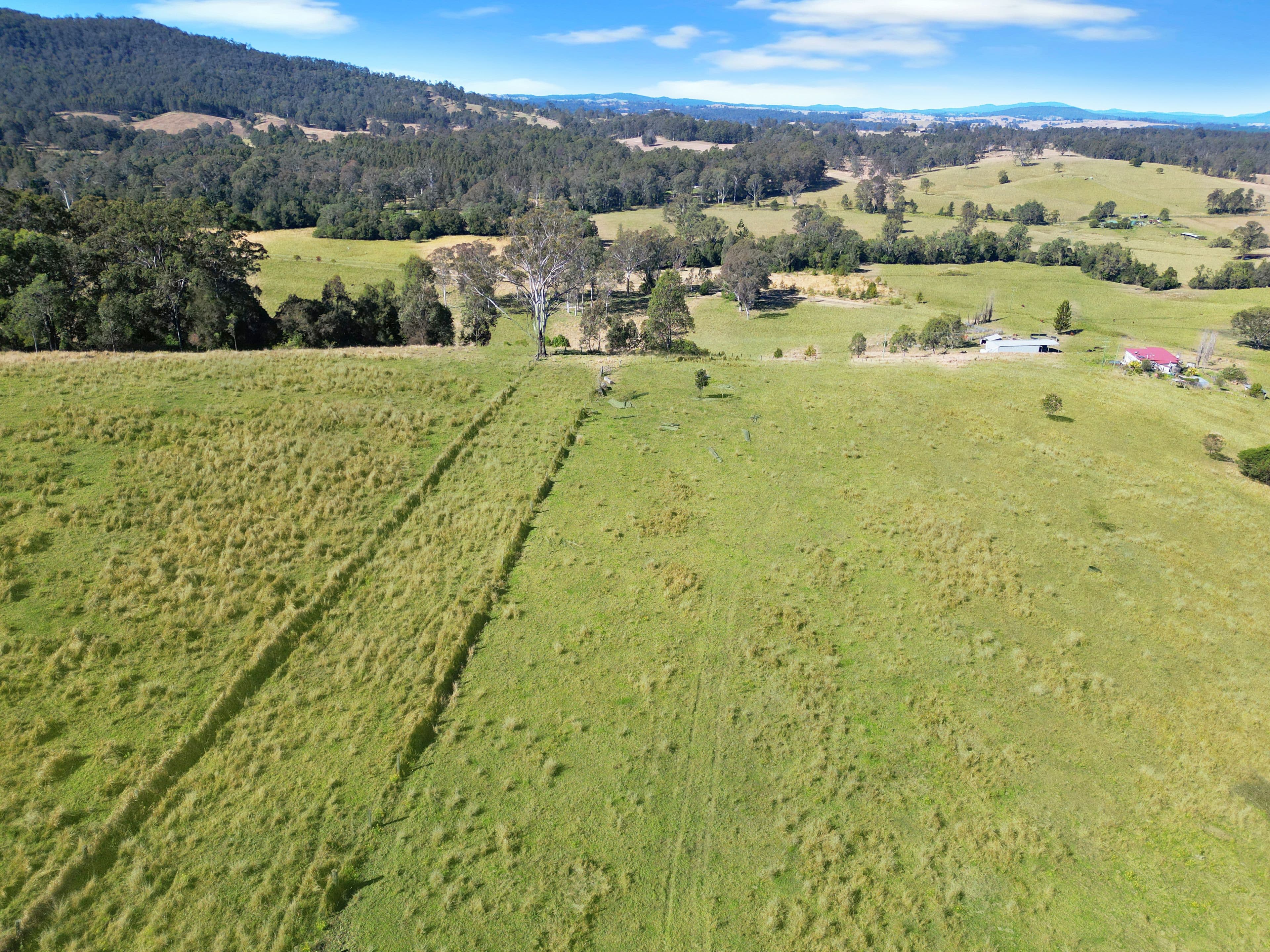70 Cookes Lane, Bottle Creek NSW 2469, Bottle Creek - Thumbnail 8