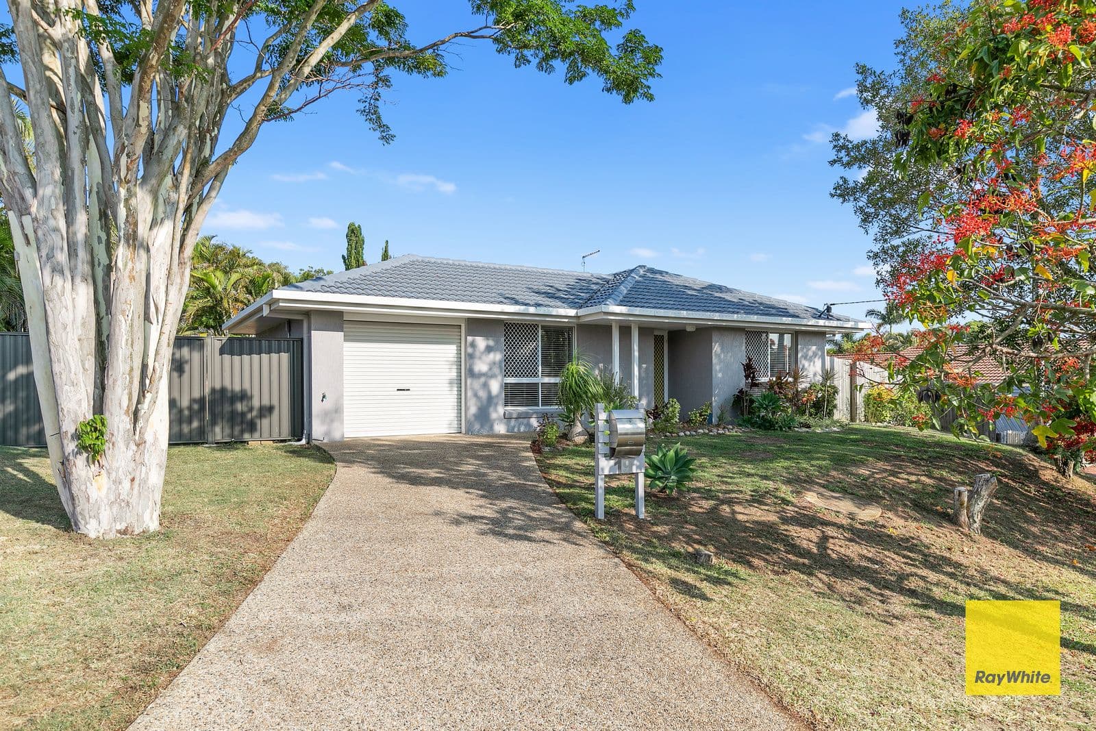 19 Randwick Street, Capalaba QLD 4157, Capalaba - Image 1