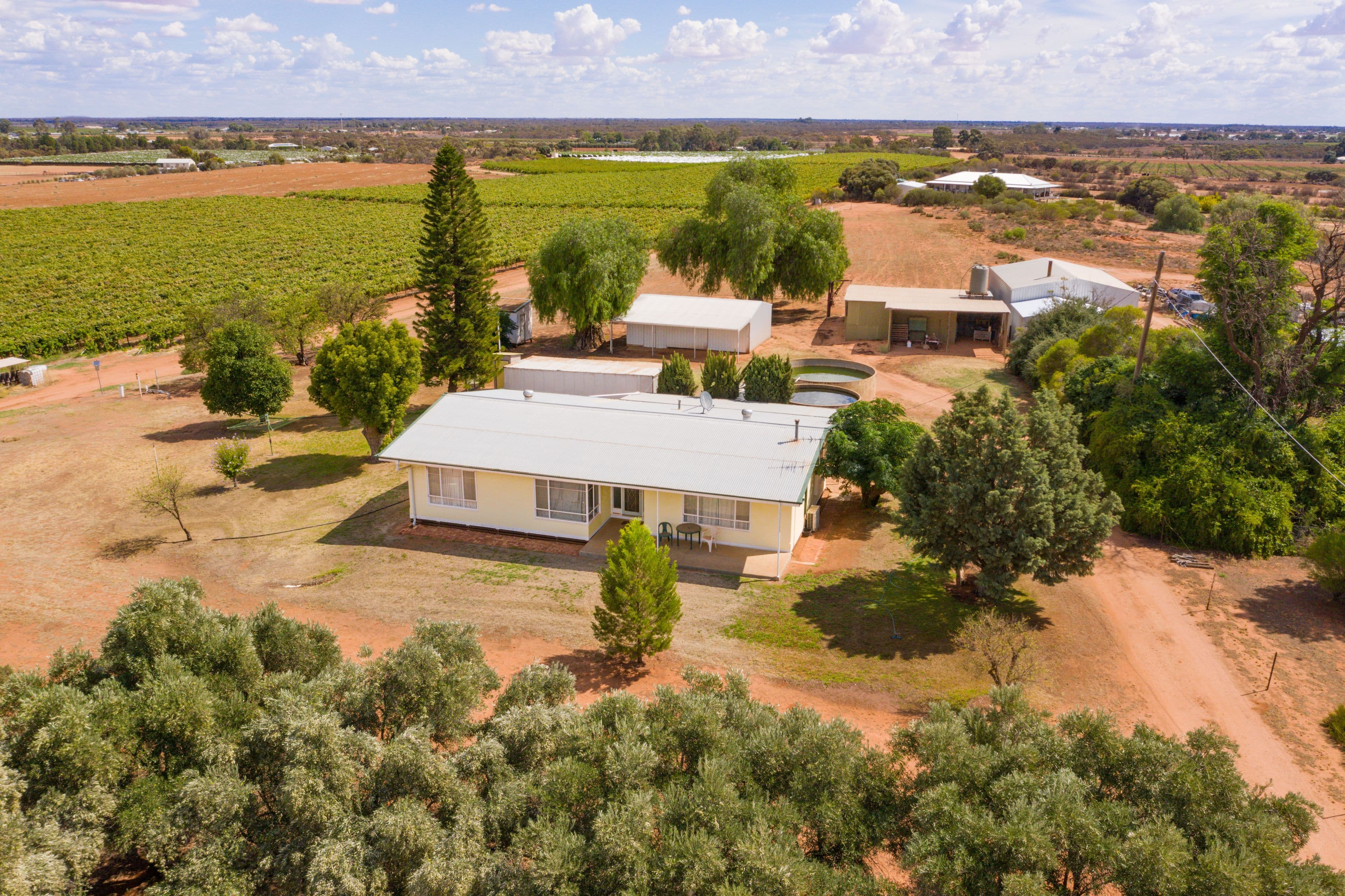 28 Old Dairtnunk Road, Irymple VIC 3498, Irymple - Image 1