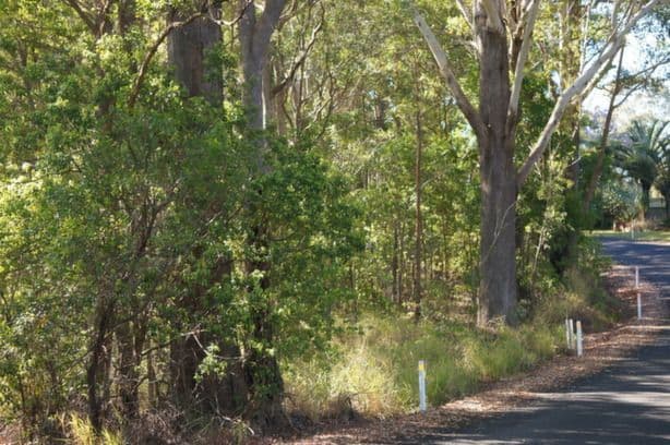22 Upper Rosemount Road (Corner of Rosemount Lane), Rosemount QLD 4560, Rosemount - Thumbnail 4