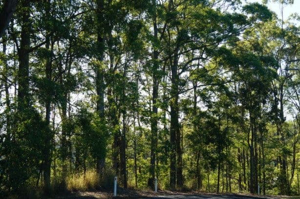 22 Upper Rosemount Road (Corner of Rosemount Lane), Rosemount QLD 4560, Rosemount - Thumbnail 6