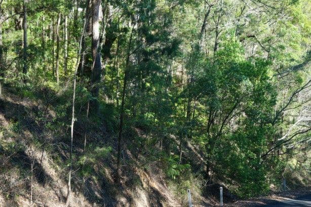 22 Upper Rosemount Road (Corner of Rosemount Lane), Rosemount QLD 4560, Rosemount - Thumbnail 7