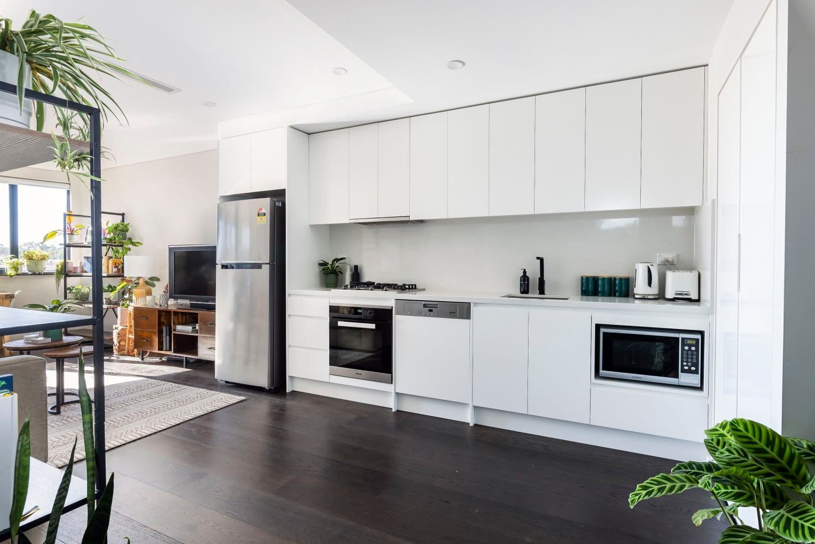 66 Constitution Road, Dulwich Hill NSW 2203, Dulwich Hill - Thumbnail 4