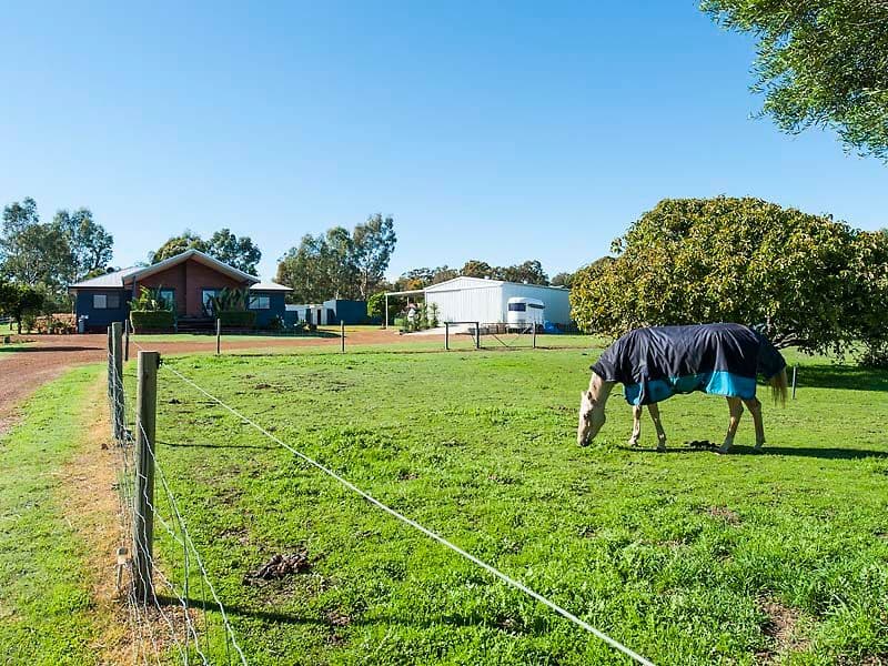 11 Callow Drive, Bullsbrook WA 6084, Bullsbrook - Thumbnail 2