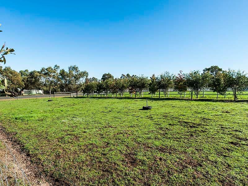 11 Callow Drive, Bullsbrook WA 6084, Bullsbrook - Thumbnail 3