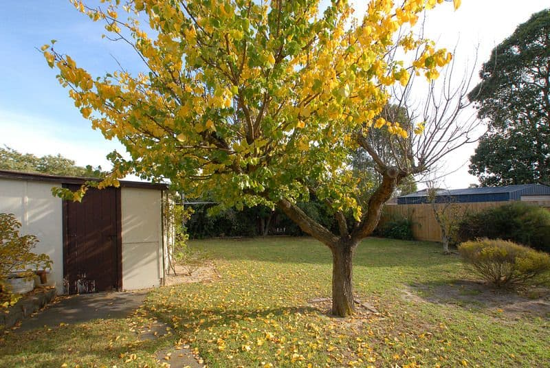 19 Armata Crescent, FRANKSTON NORTH VIC 3200, Frankston North - Thumbnail 7