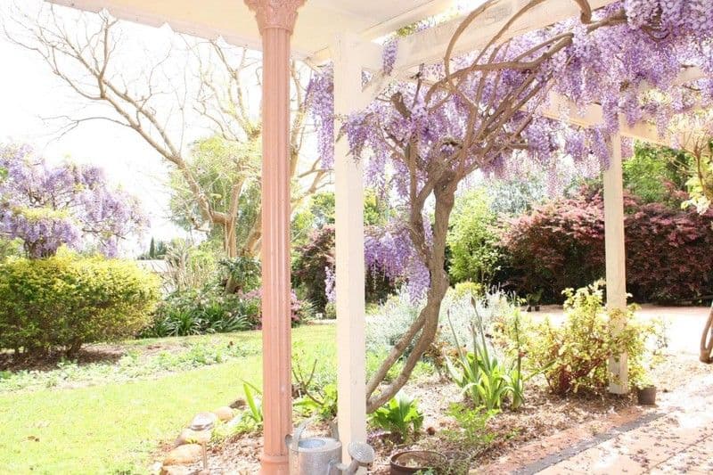 67 Sierra Drive, NORTH TAMBORINE QLD 4272, North Tamborine - Thumbnail 2