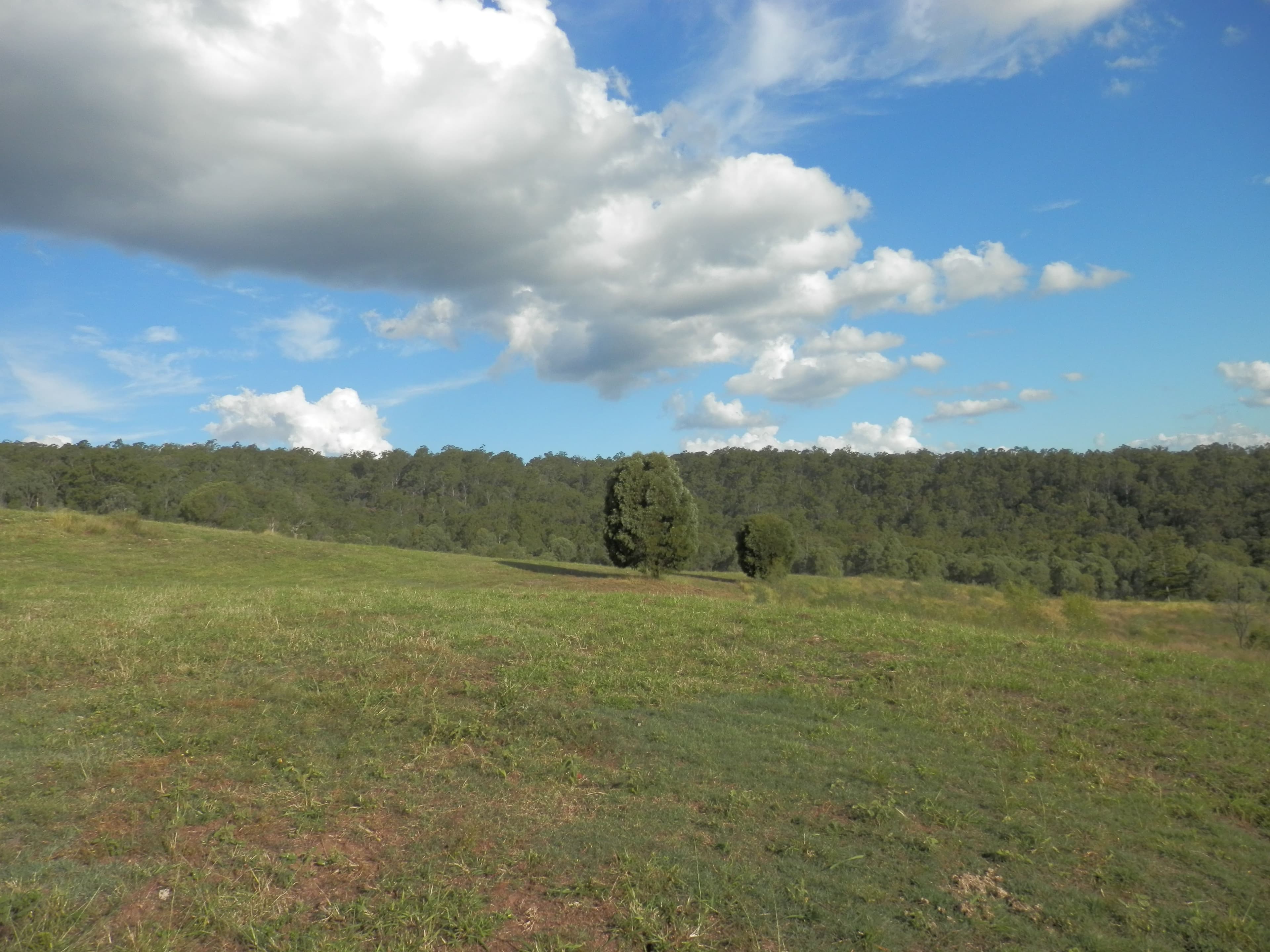 13 Waldron Road, Hatton Vale QLD 4341, Hatton Vale - Image 1