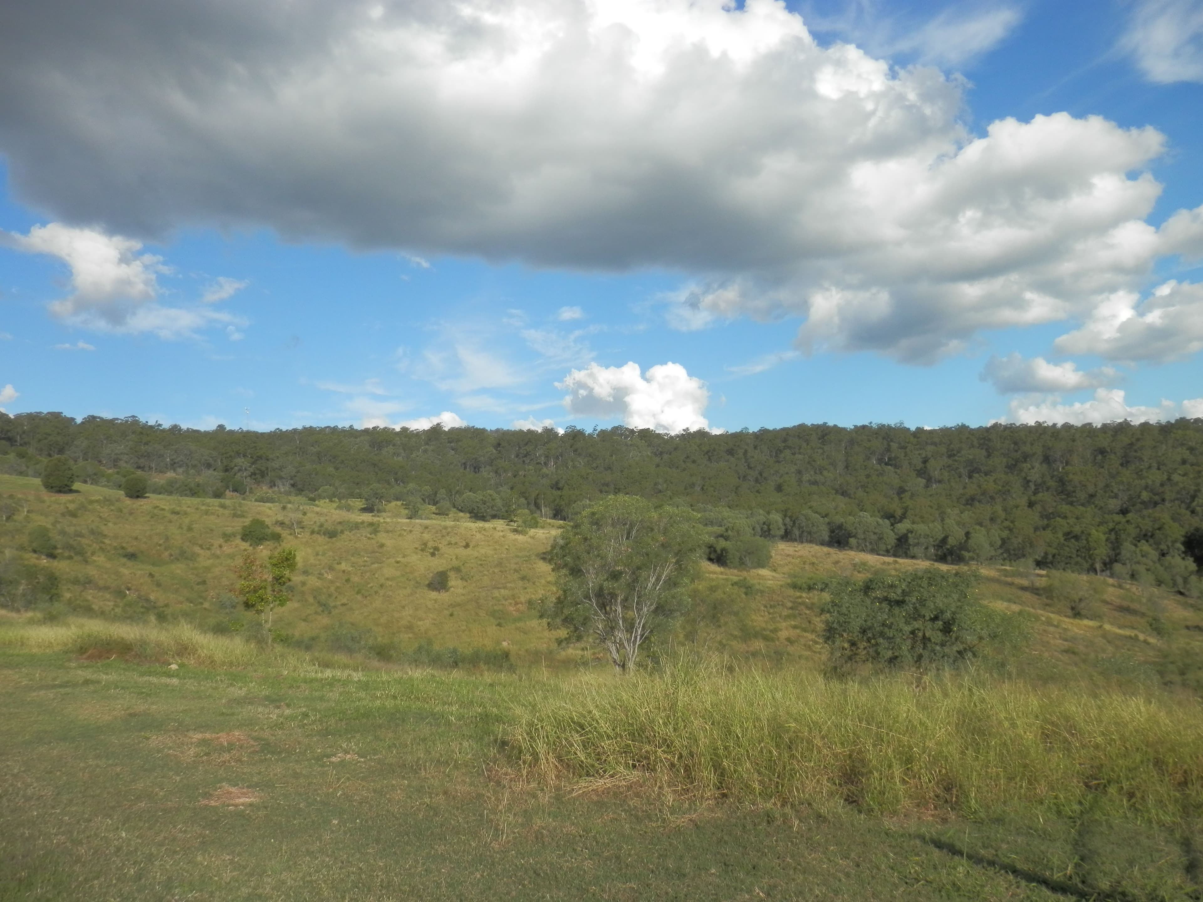 13 Waldron Road, Hatton Vale QLD 4341, Hatton Vale - Thumbnail 2
