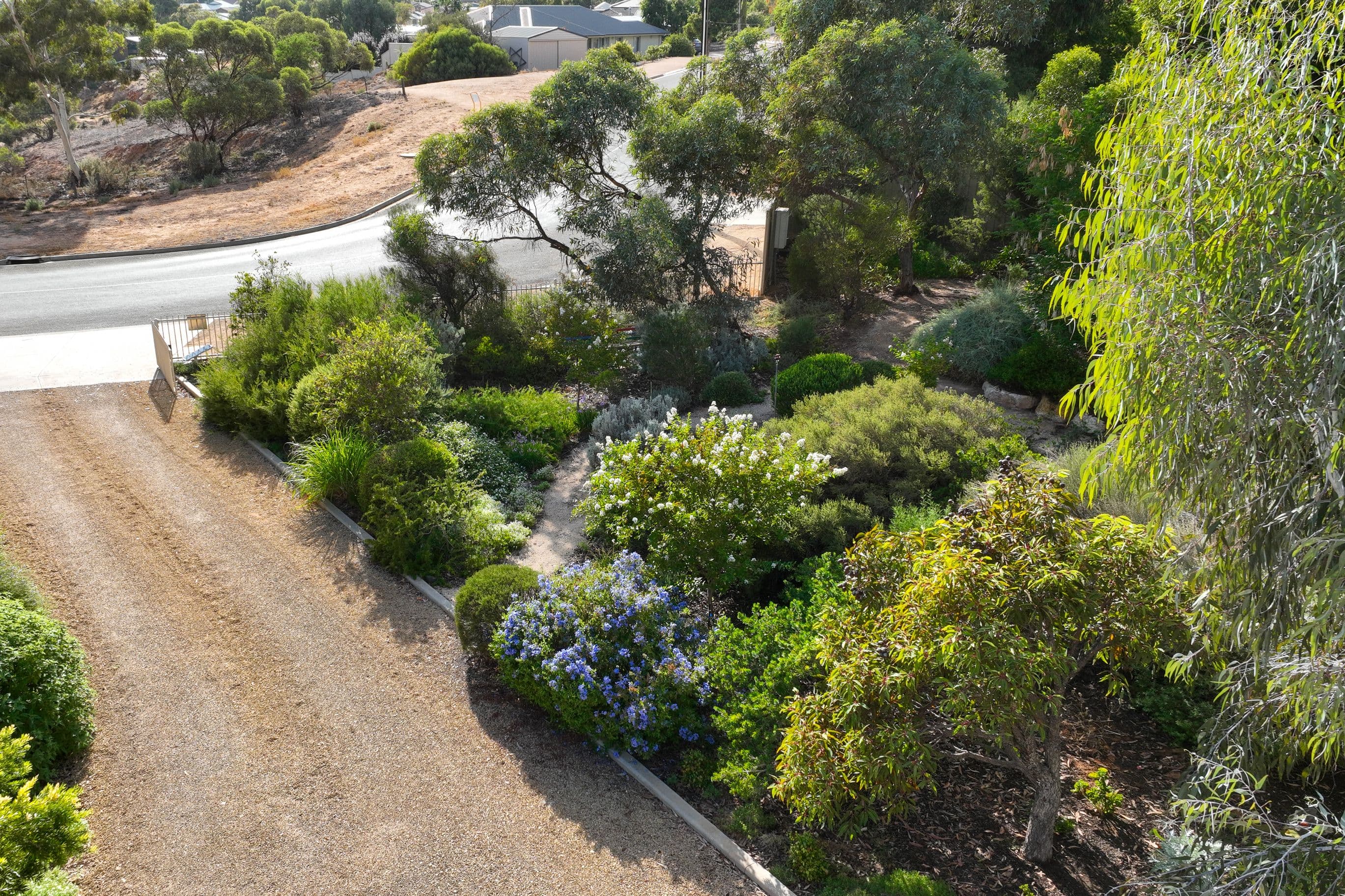 22 Arbour Street, Sherwood QLD 4075, Sherwood - Thumbnail 8