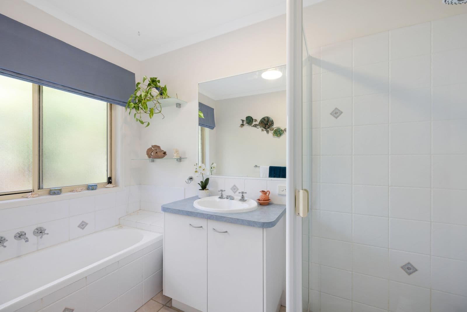 16 Haddys Close, Mountain Creek QLD 4557, Mountain Creek - Thumbnail 4