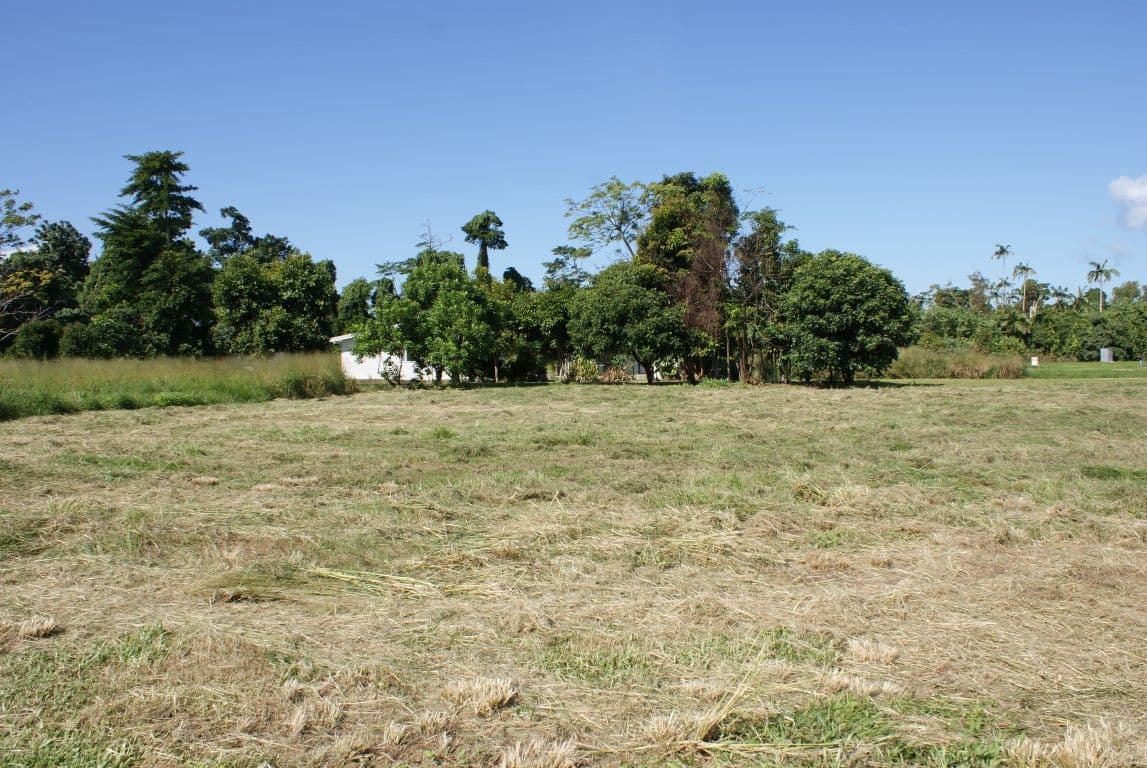 9 Reef Close, Mission Beach QLD 4852, Mission Beach - Thumbnail 2