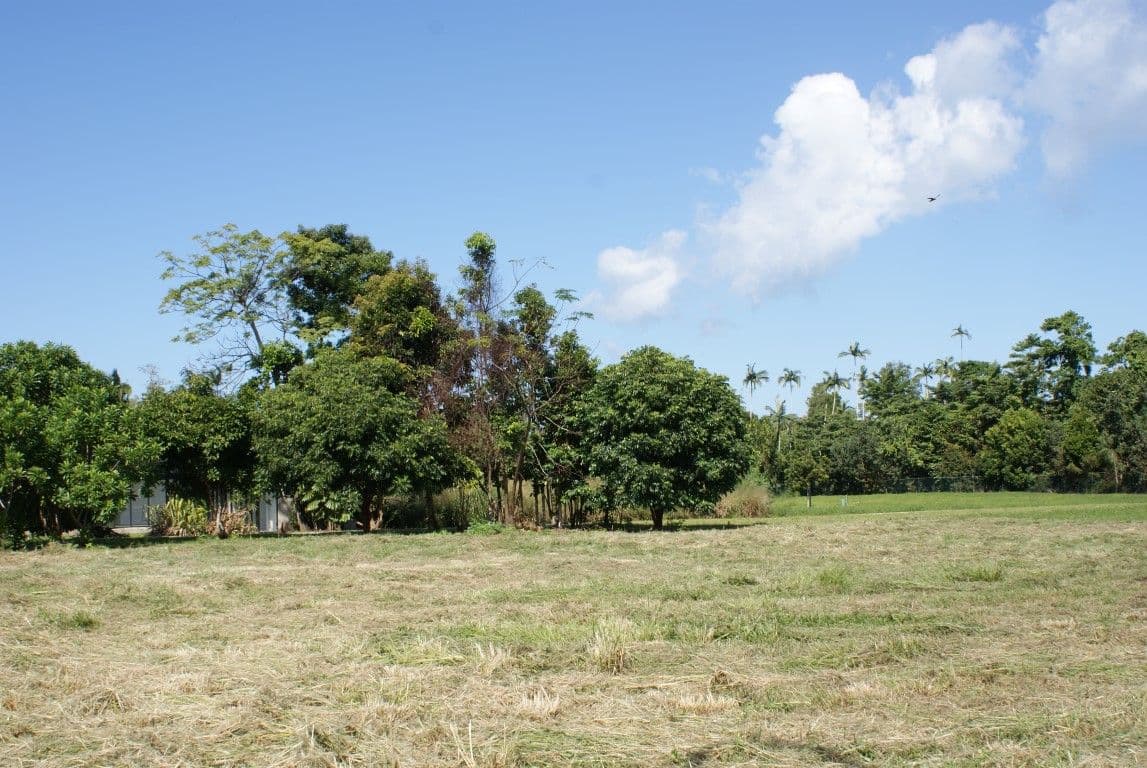 9 Reef Close, Mission Beach QLD 4852, Mission Beach - Thumbnail 4