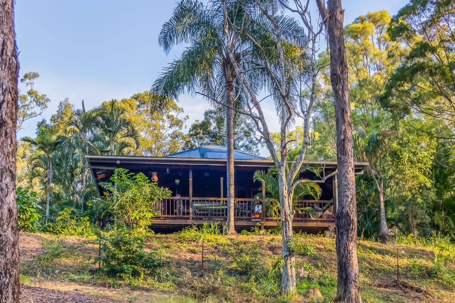 24 Collins Street, Moorina QLD 4506, Moorina - Thumbnail 3
