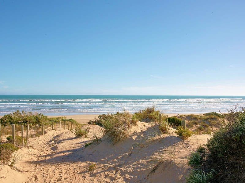 32 Cardwell Circuit, Thornlands, QLD, 4164, Thornlands - Thumbnail 2