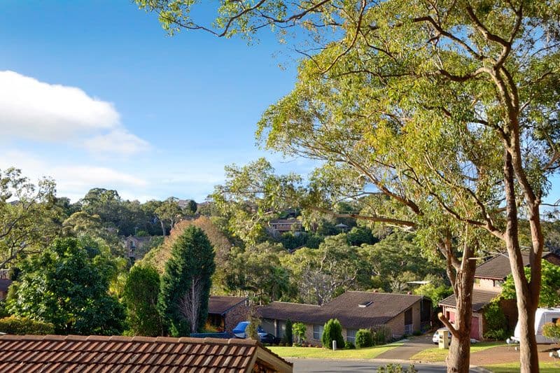 29 Shand Close, ILLAWONG NSW 2234, Illawong - Thumbnail 3