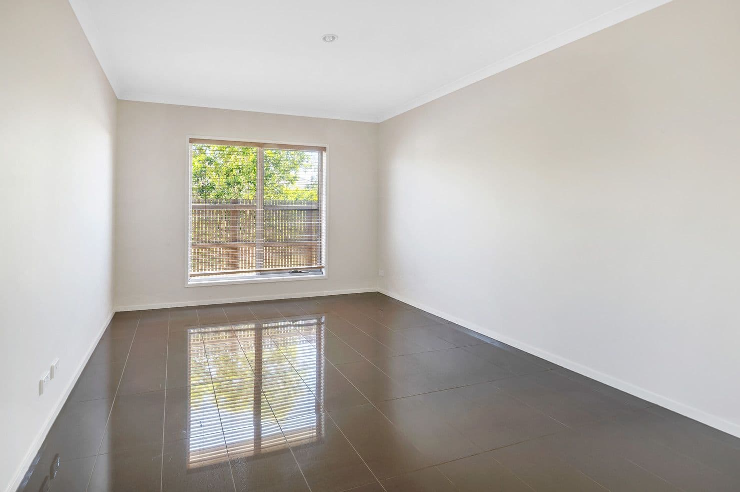 62 Swan Road, Pimpama QLD 4209, Pimpama - Thumbnail 7