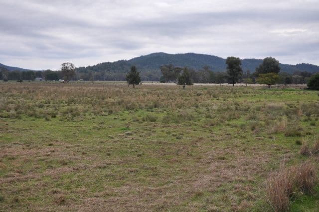 "Lutana" Pye Street, Eugowra NSW 2806, Eugowra - Thumbnail 4