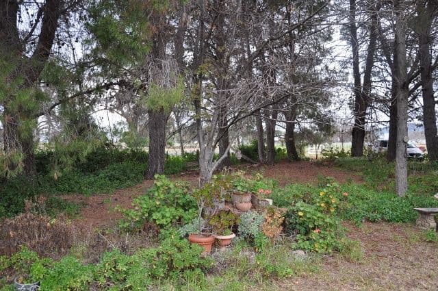 "Lutana" Pye Street, Eugowra NSW 2806, Eugowra - Thumbnail 6