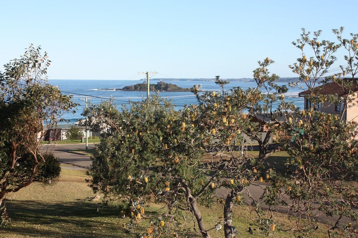 24 The Foredeck, Manyana NSW 2539, Manyana - Image 1