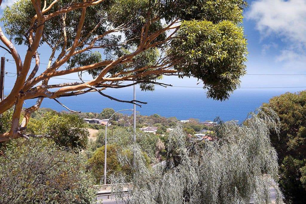 37 High Street, SEACLIFF PARK SA 5049, Seacliff Park - Thumbnail 2