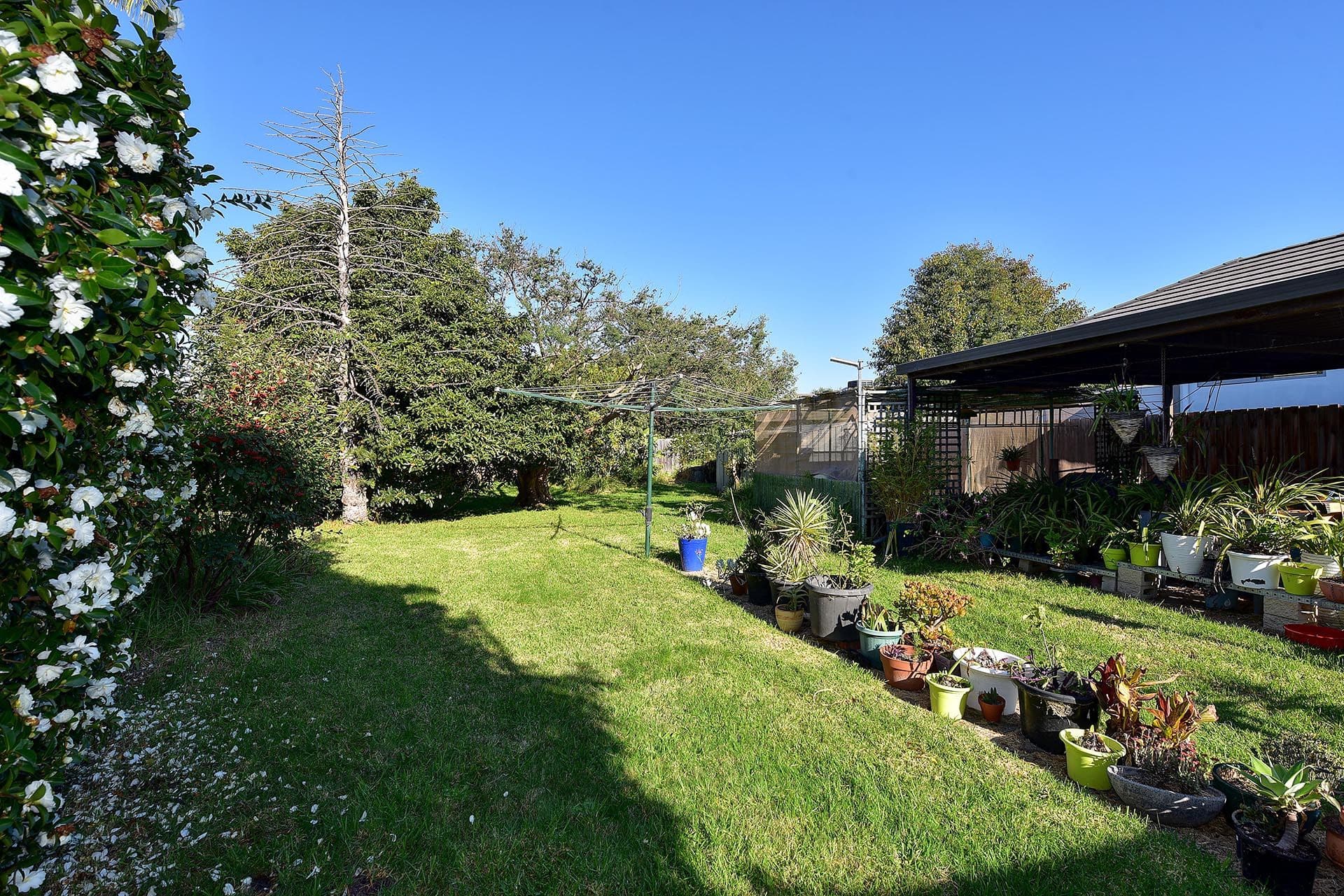 96 Rae Avenue, Edithvale VIC 3196, Edithvale - Thumbnail 3