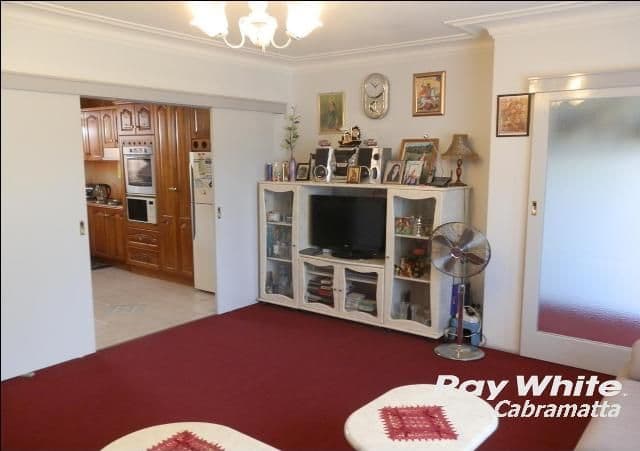 35 David Street, Mount Pritchard NSW 2170, Mount Pritchard - Thumbnail 3