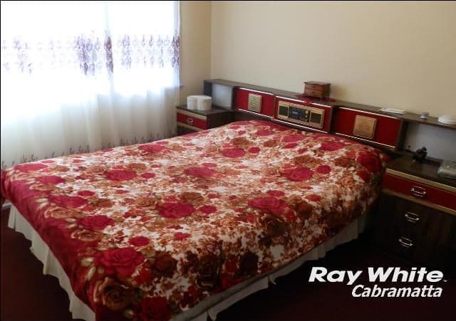 35 David Street, Mount Pritchard NSW 2170, Mount Pritchard - Thumbnail 7