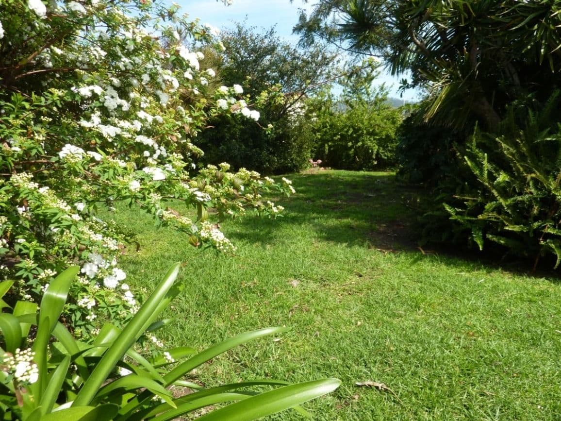 33 Kialoa Road, WOONONA NSW 2517, Woonona - Thumbnail 8