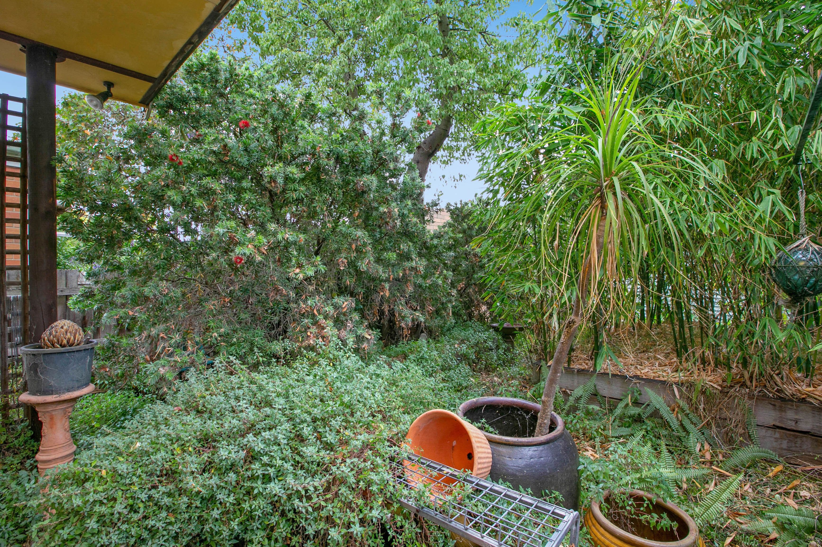 12 Emmaline Street, Northcote VIC 3070, Northcote - Thumbnail 6