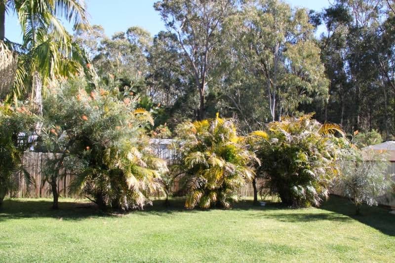 66 Sirius Drive, LAKEWOOD NSW 2443, Lakewood - Thumbnail 2
