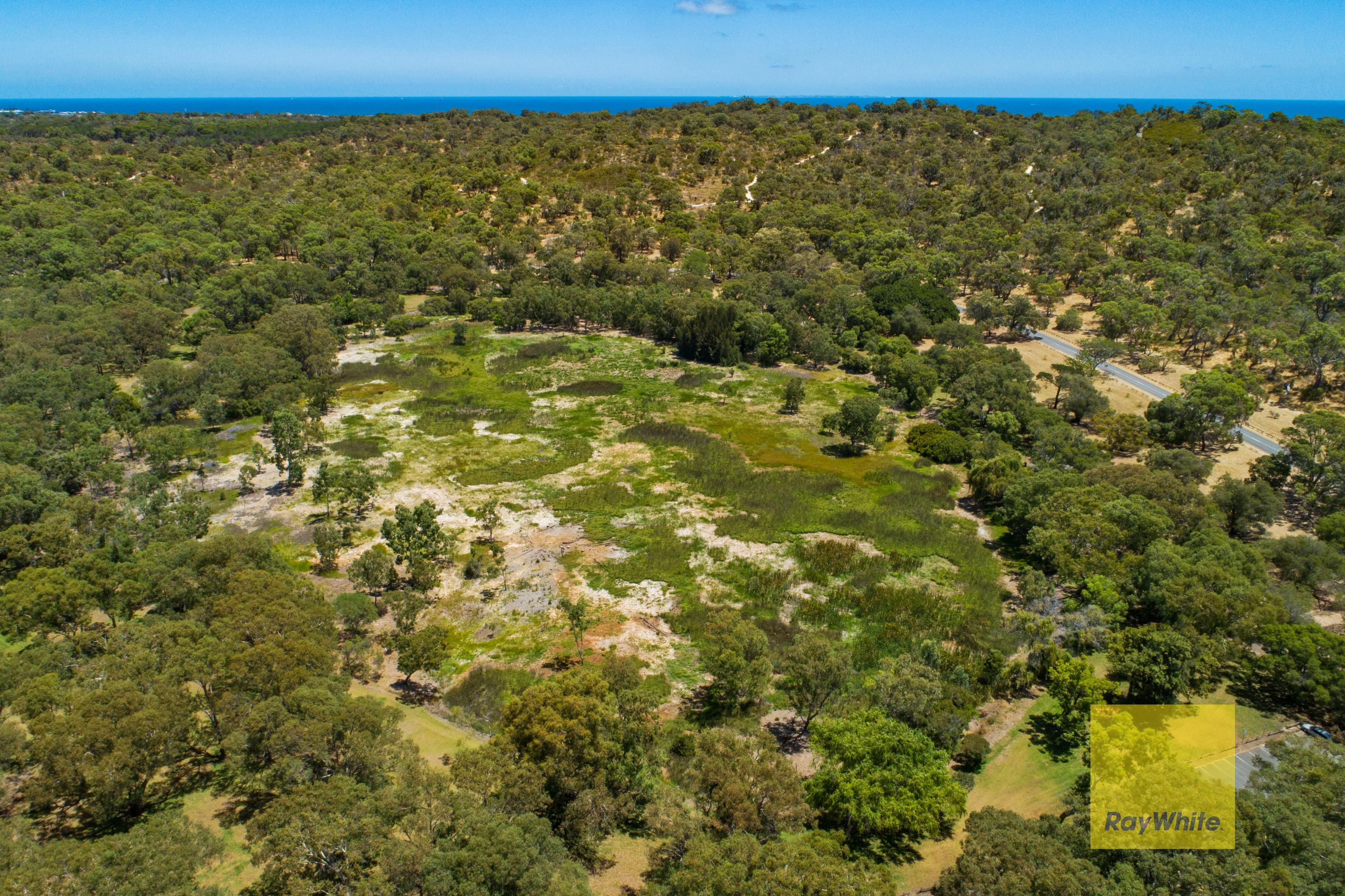 104 Brookdale Street, Floreat WA 6014, Floreat - Thumbnail 7