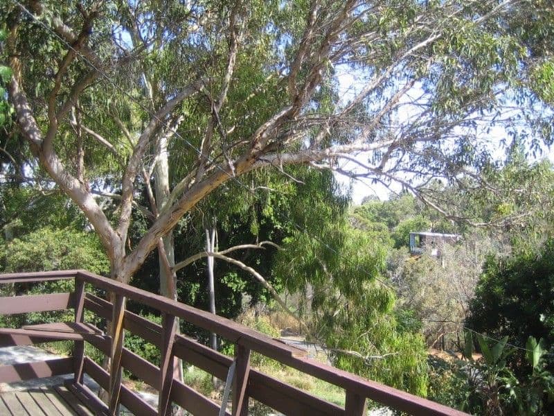 1300 Coulston Road, BOYA WA 6056, Boya - Thumbnail 2
