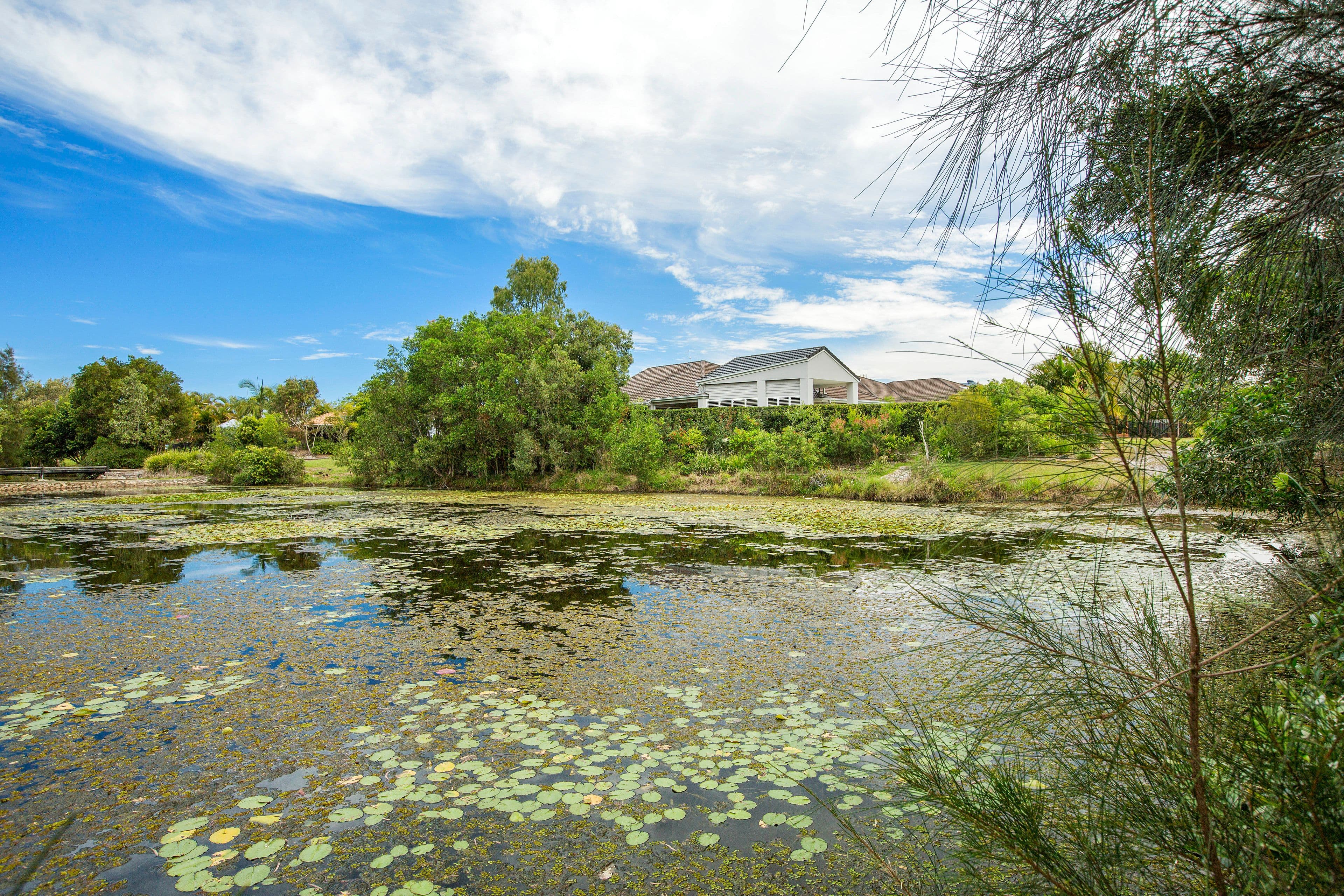 19 Sandleigh Crescent, Sippy Downs QLD 4556, Sippy Downs - Thumbnail 2