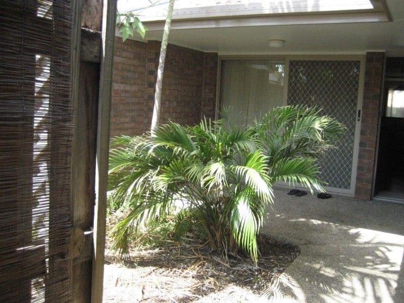 659 Webster Road via Imber Street, CHERMSIDE QLD 4032, Chermside - Thumbnail 6