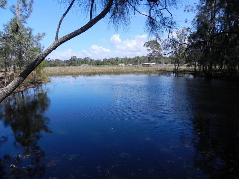 143 Meldale Road, MELDALE QLD 4510, Greensborough - Thumbnail 3