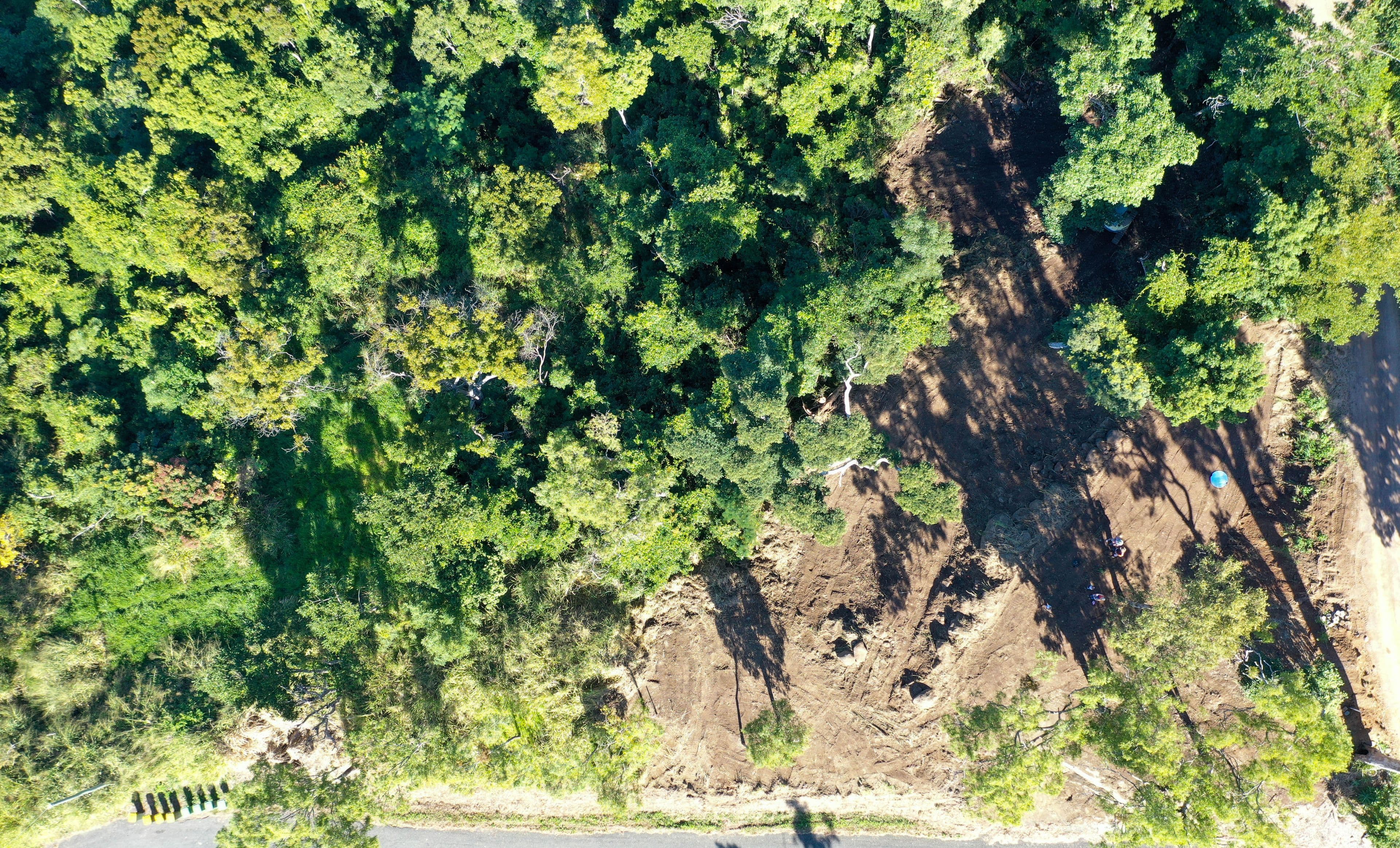 Lot 123 Parkland Drive, Woodwark QLD 4802, Woodwark - Thumbnail 5