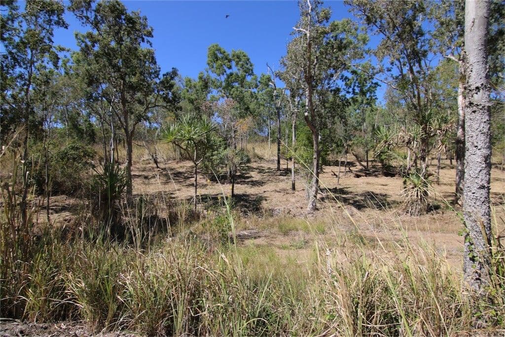 Lot 21 Botanica Drive Estate, Cannonvale QLD 4802, Cannonvale - Thumbnail 6