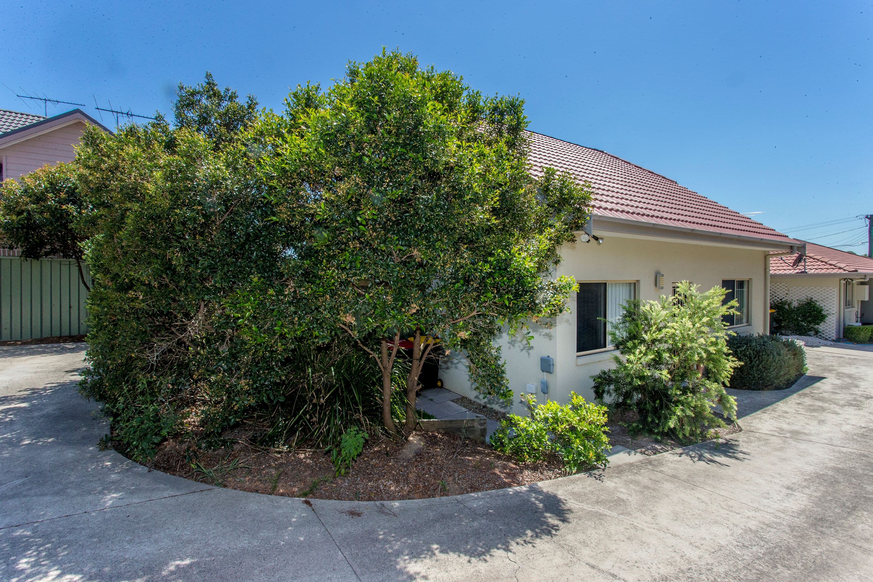 55 Barry Street, Cambridge Park - Thumbnail 3
