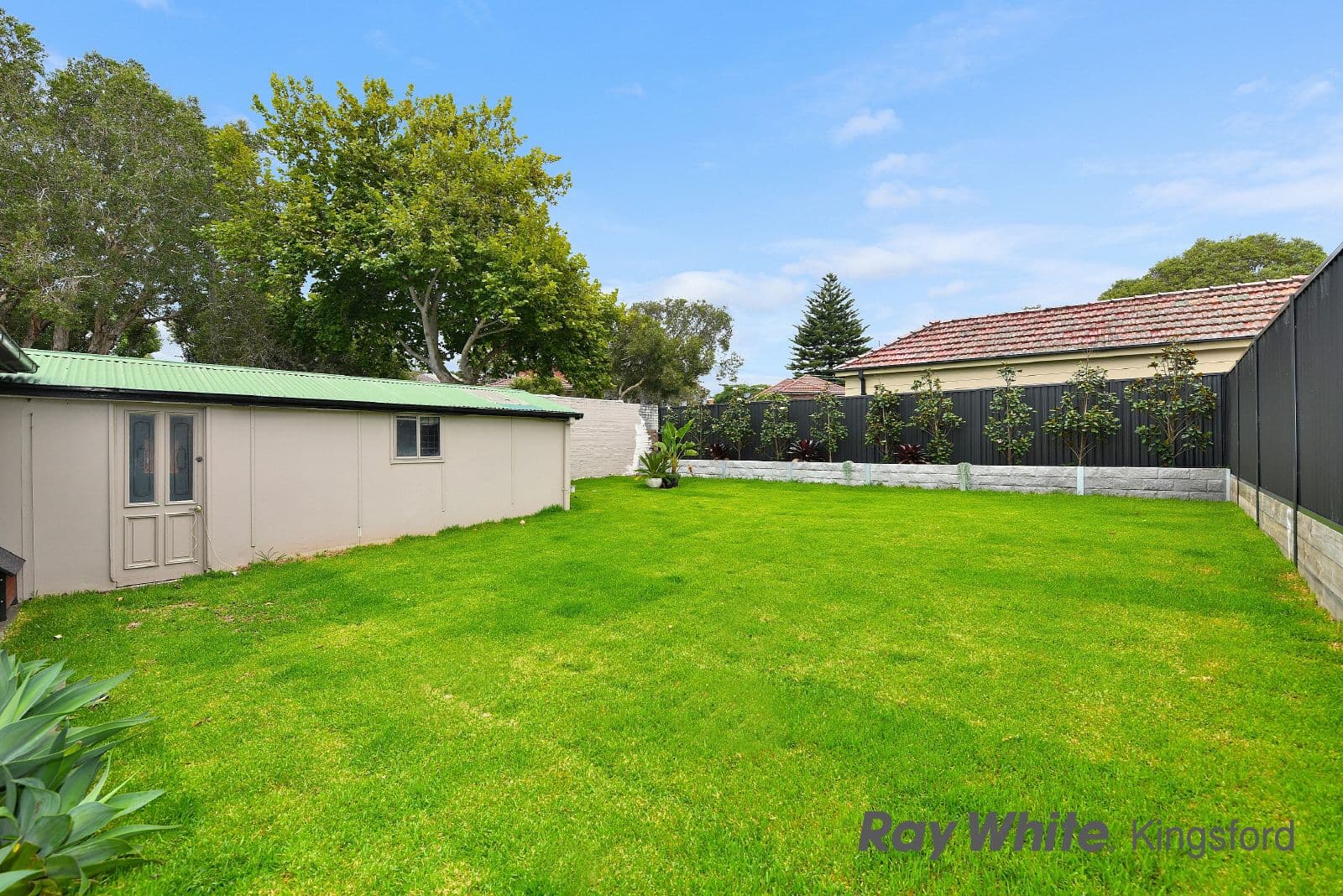 11 Gibson Street, Pagewood NSW 2035, Pagewood - Thumbnail 6